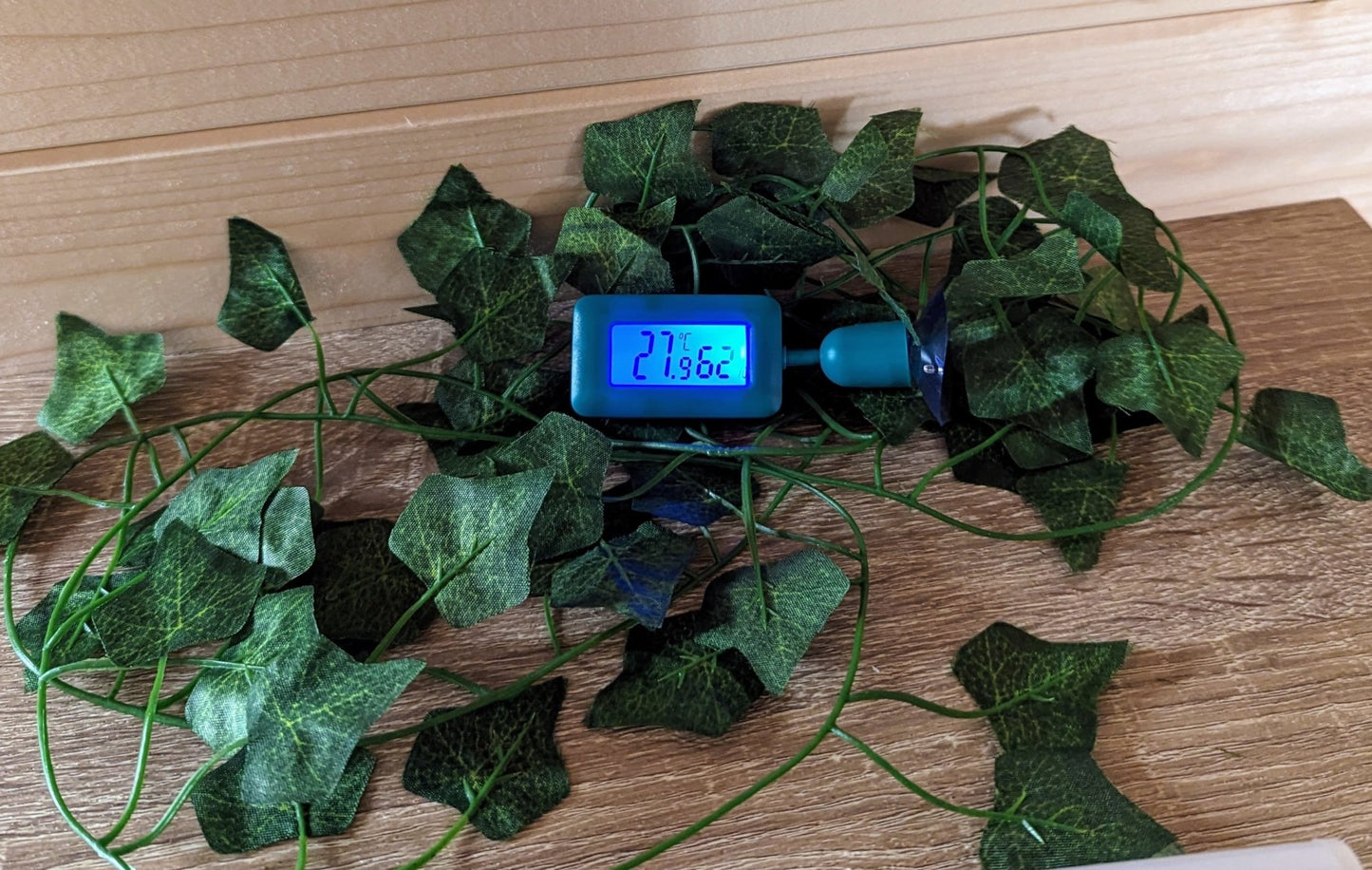 Digital Display Reptile Vivarium Thermometer High Accuracy Tank Hygrometer for Reptiles and Amphibians - Reptile Pet Supplies